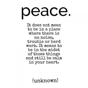 inner peace, closer to inner peace, self realization, daily inspiration, quote of the day, inspiring quote, daily quote, inspiration, inspiring, inspire, inspired, quotes, positive quotes, positive quote, motivation, success, happiness, happy, wellness, well-being, coaching, wisdom, guidance, personal development, personal growth, self improvement, potential, self love, healthy living, health, spirituality, spiritual, soul, spiritual coach, coach, coaching, life coach, health coach, wellness coach, red fairy project, self confidence, faith, spiritual, spirituality,