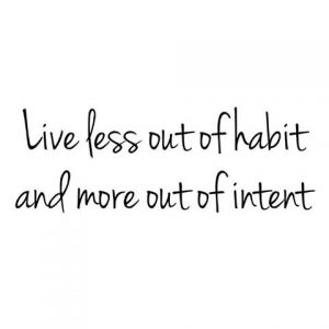 intention, intent, self realization, daily inspiration, quote of the day, inspiring quote, daily quote, inspiration, inspiring, inspire, inspired, quotes, positive quotes, positive quote, motivation, success, happiness, happy, wellness, well-being, wisdom, guidance, personal development, personal growth, self improvement, potential, self love, healthy living, health, spirituality, spiritual, soul, spiritual coach, coach, coaching, life coach, health coach, wellness coach, red fairy project, healer, light worker, miracle, miracle worker, light worker, self actualization