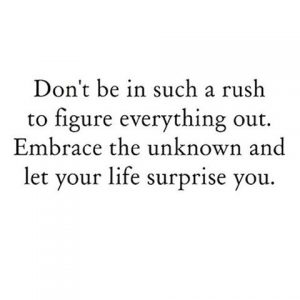 embrace the unknown, mindful living, self realization, daily inspiration, quote of the day, inspiring quote, daily quote, inspiration, inspiring, inspire, inspired, quotes, positive quotes, positive quote, motivation, success, happiness, happy, wellness, well-being, wisdom, guidance, personal development, personal growth, self improvement, potential, self love, healthy living, health, spirituality, spiritual, soul, spiritual coach, coach, coaching, life coach, health coach, wellness coach, red fairy project, healer, light worker, miracle, miracle worker, light worker, self actualization, be the best version of you, full potential, figure it out, have it all figured out,