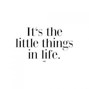 it's the little things, daily inspiration, quote of the day, inspiring quote, daily quote, inspiration, inspiring, inspire, inspired, quotes, positive quotes, positive quote, motivation, success, happiness, happy, wellness, well-being, wisdom, guidance, personal development, personal growth, self improvement, potential, self love, healthy living, health, spirituality, spiritual, soul, spiritual coach, coach, coaching, life coach, health coach, wellness coach, red fairy project, healer, light worker, miracle, miracle worker, light worker, self actualization, gratitude