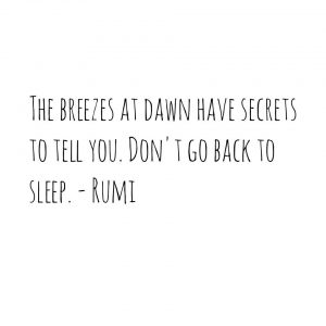 breezes at dawn, wayne dyer, wayne dyer quote, daily inspiration, quote of the day, inspiring quote, daily quote, inspiration, inspiring, inspire, inspired, quotes, positive quotes, positive quote, motivation, success, happiness, happy, wellness, well-being, wisdom, guidance, personal development, personal growth, self improvement, potential, self love, healthy living, health, spirituality, spiritual, soul, spiritual coach, coach, coaching, life coach, health coach, wellness coach, red fairy project, healer, light worker, miracle, miracle worker, light worker, self actualization, morning