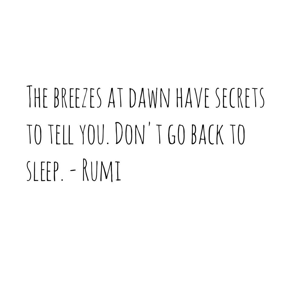 breezes at dawn, wayne dyer, wayne dyer quote, daily inspiration, quote of the day, inspiring quote, daily quote, inspiration, inspiring, inspire, inspired, quotes, positive quotes, positive quote, motivation, success, happiness, happy, wellness, well-being, wisdom, guidance, personal development, personal growth, self improvement, potential, self love, healthy living, health, spirituality, spiritual, soul, spiritual coach, coach, coaching, life coach, health coach, wellness coach, red fairy project, healer, light worker, miracle, miracle worker, light worker, self actualization, morning