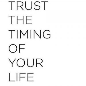 daily inspiration, quote of the day, inspiring quote, daily quote, inspiration, inspiring, inspire, inspired, quotes, positive quotes, positive quote, motivation, success, happiness, happy, wellness, well-being, wisdom, guidance, personal development, personal growth, self improvement, potential, self love, healthy living, health, spirituality, spiritual, soul, spiritual coach, coach, coaching, life coach, health coach, wellness coach, red fairy project, healer, light worker, miracle, miracle worker, light worker, self actualization, trust, faith,