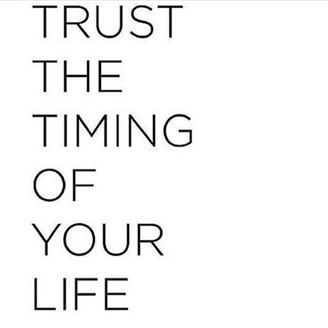 daily inspiration, quote of the day, inspiring quote, daily quote, inspiration, inspiring, inspire, inspired, quotes, positive quotes, positive quote, motivation, success, happiness, happy, wellness, well-being, wisdom, guidance, personal development, personal growth, self improvement, potential, self love, healthy living, health, spirituality, spiritual, soul, spiritual coach, coach, coaching, life coach, health coach, wellness coach, red fairy project, healer, light worker, miracle, miracle worker, light worker, self actualization, trust, faith,