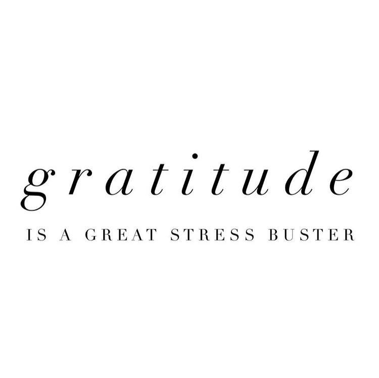 gratitude, gratitude practice, grateful, daily inspiration, quote of the day, inspiring quote, daily quote, inspiration, inspiring, inspire, inspired, quotes, positive quotes, positive quote, motivation, success, happiness, happy, wellness, well-being, wisdom, guidance, personal development, personal growth, self improvement, potential, self love, healthy living, health, spirituality, spiritual, soul, spiritual coach, coach, coaching, life coach, health coach, wellness coach, red fairy project, healer, light worker, miracle, miracle worker, light worker, self actualization, motivational, inspirational, gratitude, grateful, gratitude practice, motivational, inspirational, wellness coach, life coach, happiness coach, what you think about, thoughts, positive thinking, positive mindset