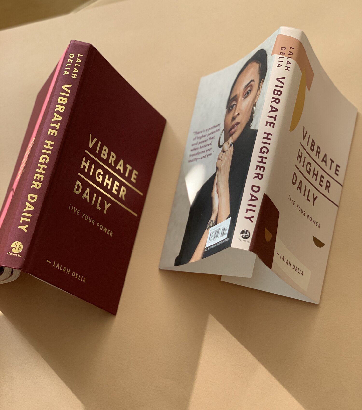 Vibrate Higher Daily book by Lalah Delia